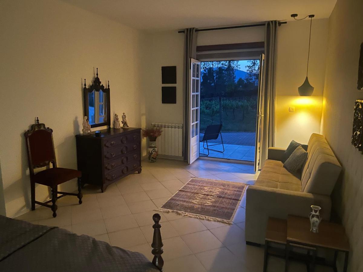 Quinta Da Paixao - Bed & Breakfast Pedraca Ngoại thất bức ảnh